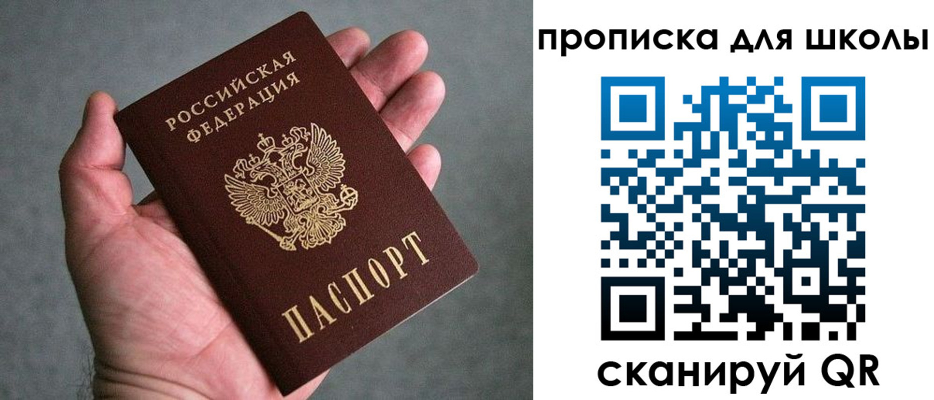 прописка для школы в Зее
